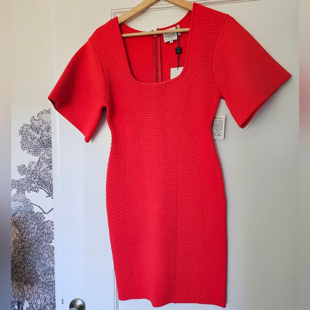 Herve Leger Bodycon Dress